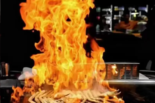 大渔四季 Teppanyaki teppanyaki review